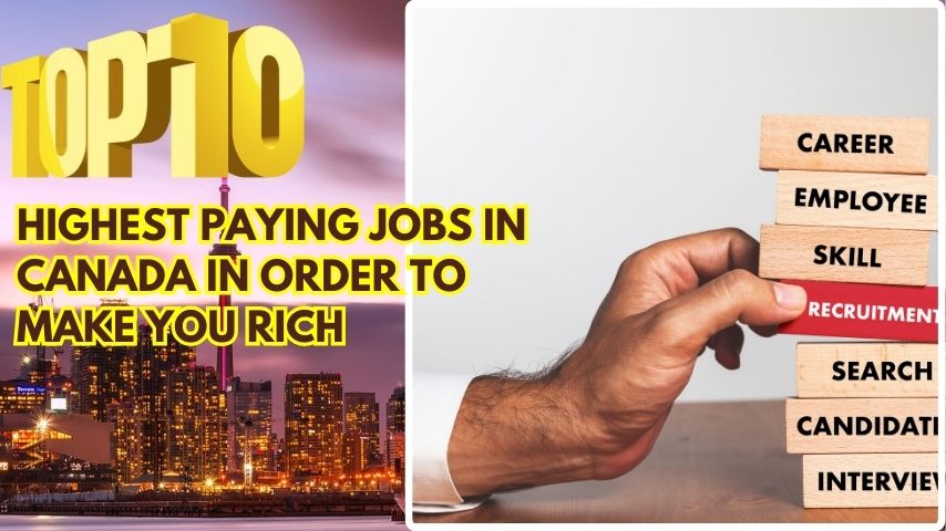 Top 10 highest paying jobs in Canada in order to make you rich
